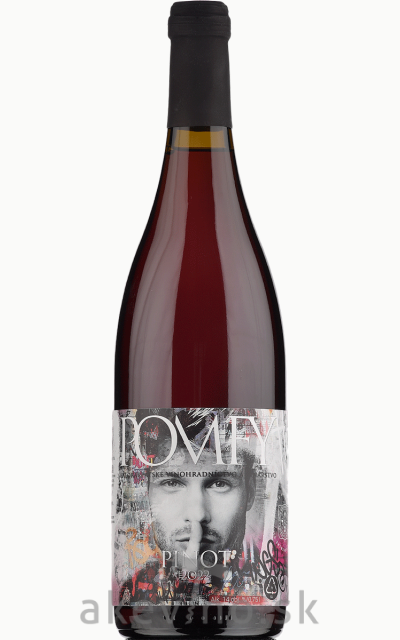 Martin Pomfy - MAVÍN Pinot 2022